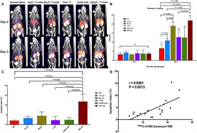 Treatment of Hepatocellular Carcinoma by Intratumoral Injection of 125I-AA98 mAb and Its Efficacy Assessments by Molecular Imaging